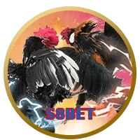 S8BET